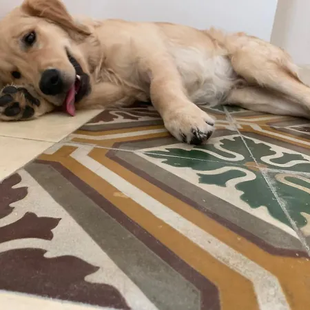 Volte E Cementine Centro Storico *